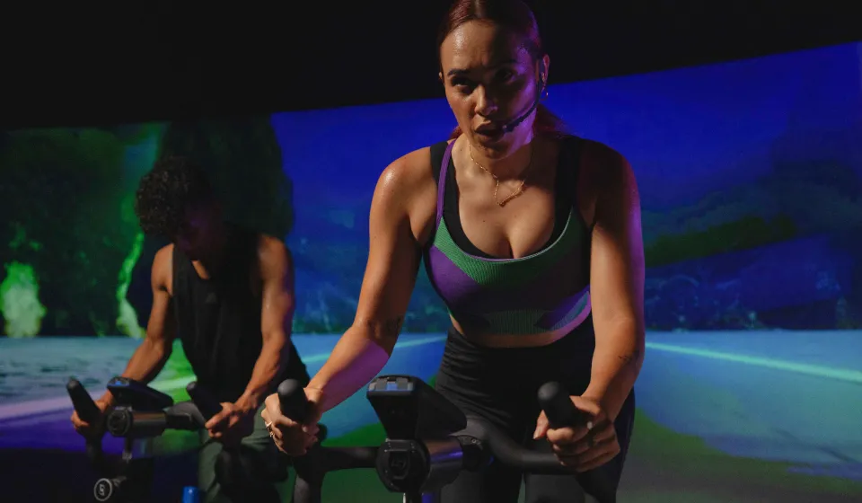 The TRIP Instructors