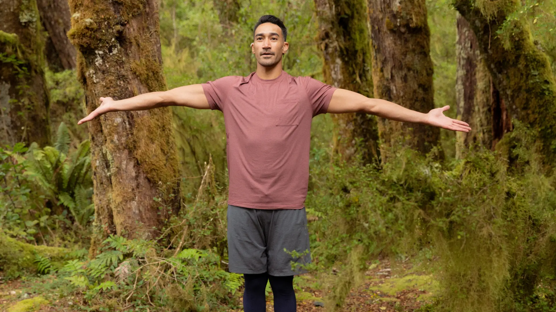 THE GREEN FORMULA FOR WELLNESS 